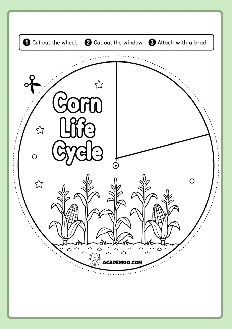 Corn Life Cycle Wheel worksheet 1st grade science printable PDF · Printable corn life cycle wheel worksheet for 1st Grade.