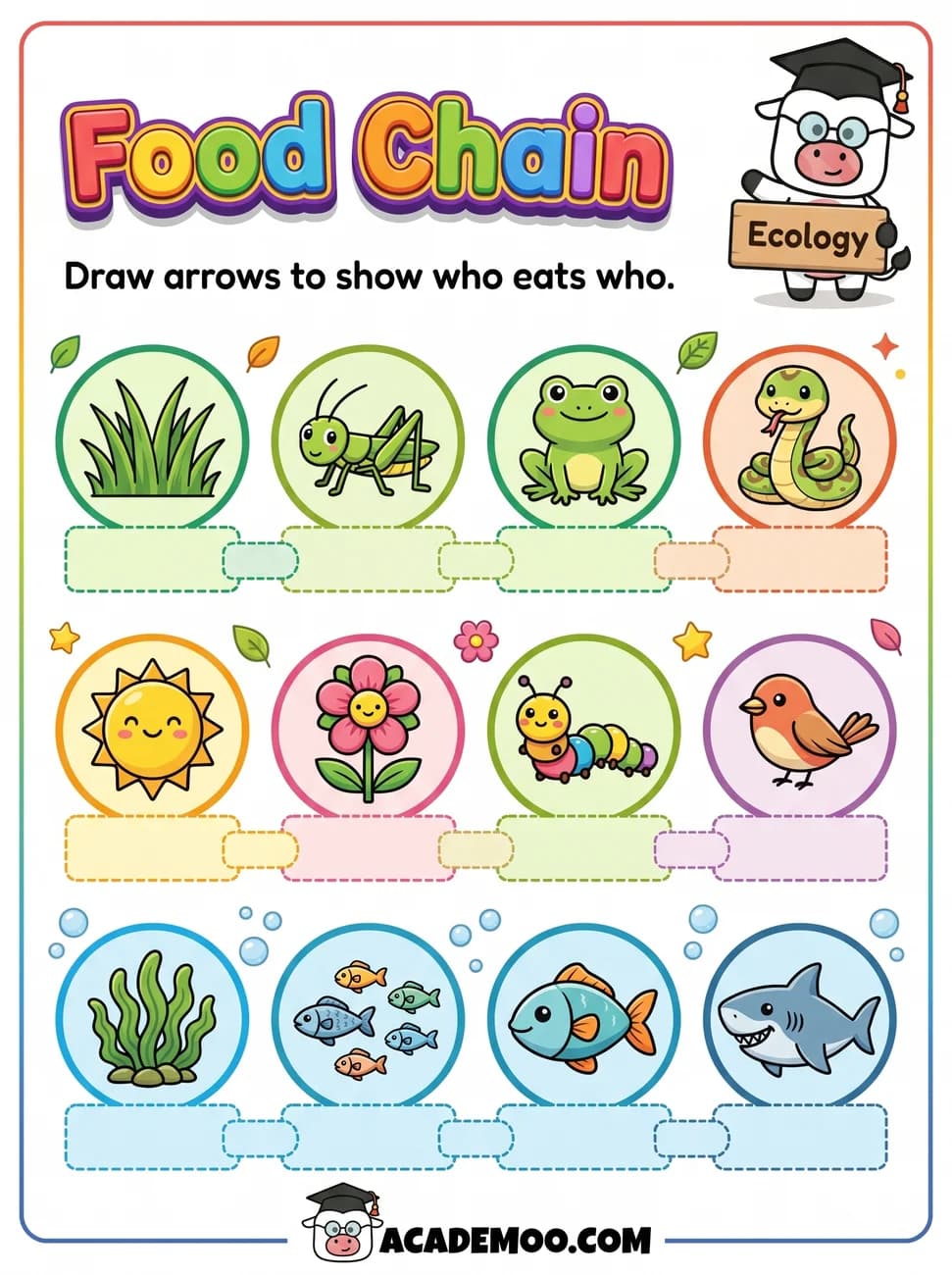 Food Chain worksheet 1st grade science printable PDF · Free printable food chain worksheet for 1st Grade.