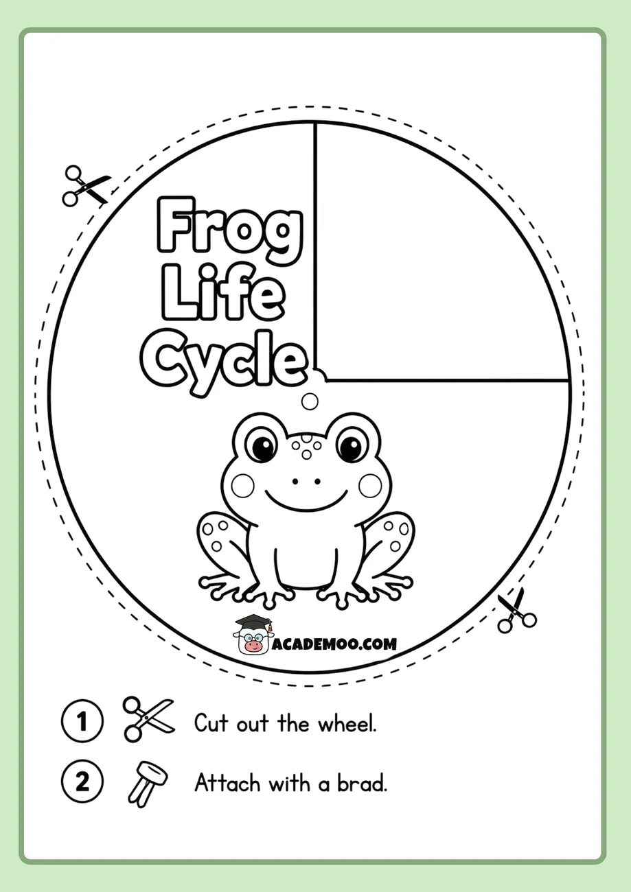 Frog Life Cycle Wheel worksheet 1st grade science printable PDF · Printable frog life cycle wheel worksheet for 1st Grade.
