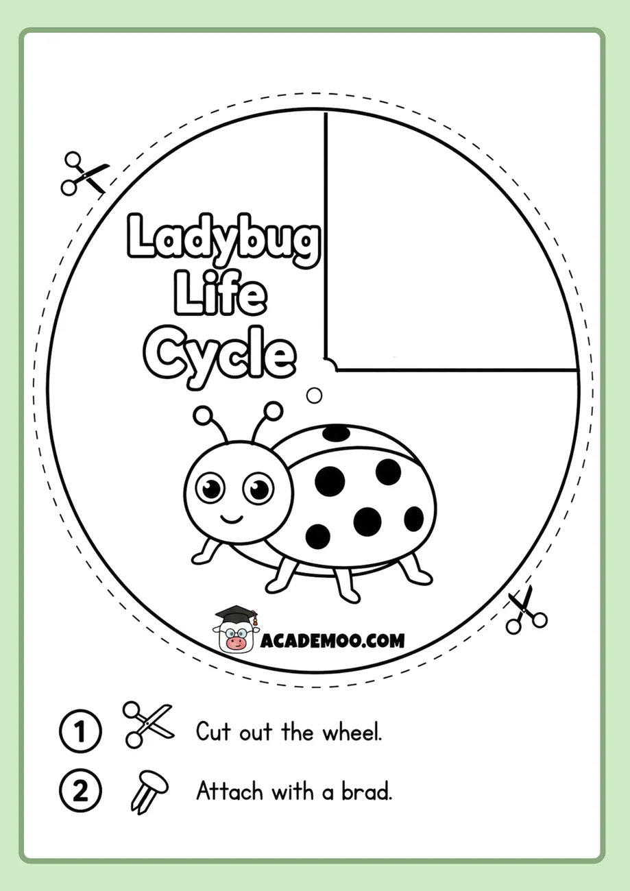 Ladybug Life Cycle Wheel worksheet 1st grade science printable PDF · Printable ladybug life cycle wheel worksheet for 1st Grade.