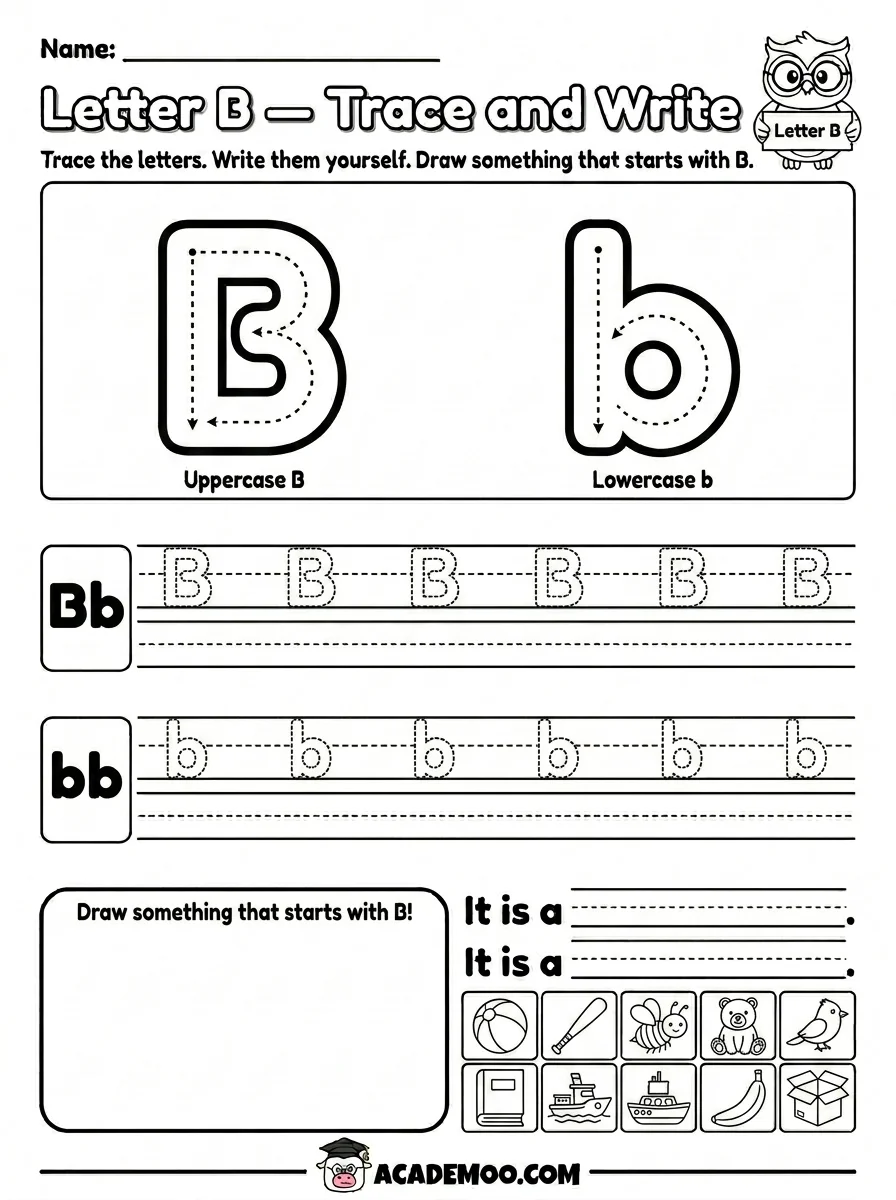 Letter B Trace and Write worksheet pre-k language arts printable PDF · Printable letter b trace and write worksheet for Pre-K.