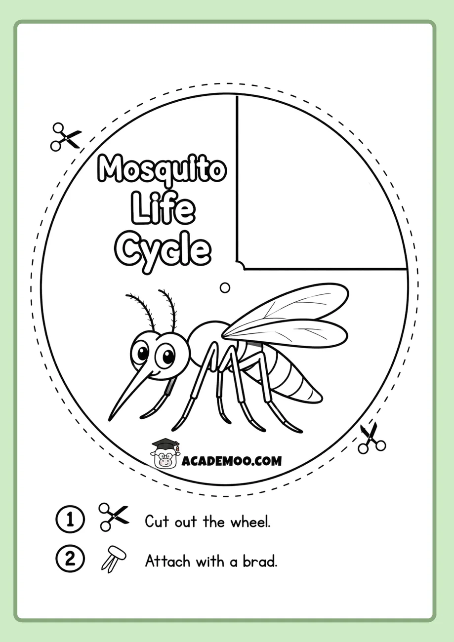 Mosquito Life Cycle Wheel worksheet 1st grade science printable PDF · Printable mosquito life cycle wheel worksheet for 1st Grade.