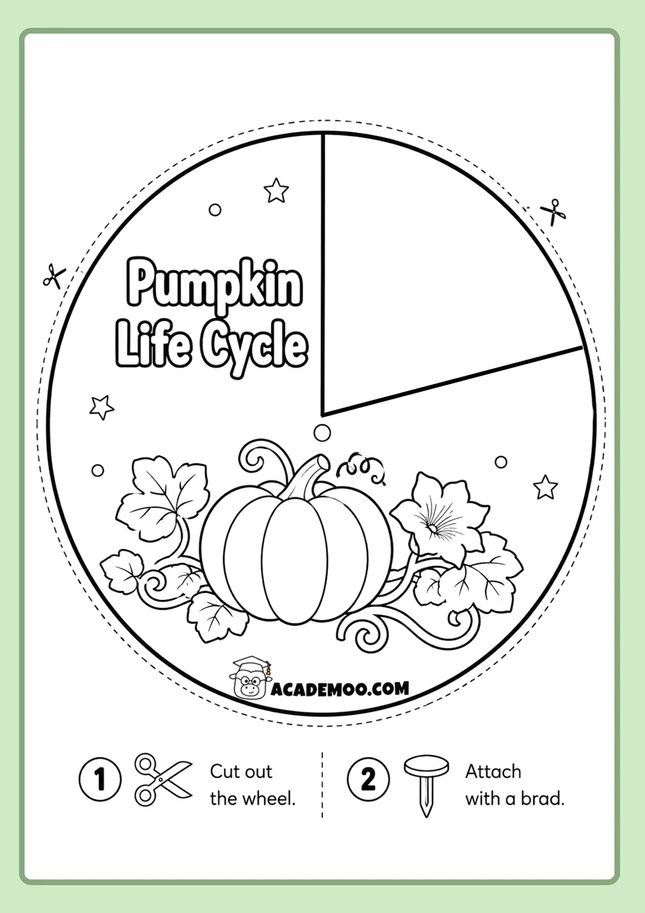 Pumpkin Life Cycle Wheel worksheet 1st grade science printable PDF · Printable pumpkin life cycle wheel worksheet for 1st Grade.