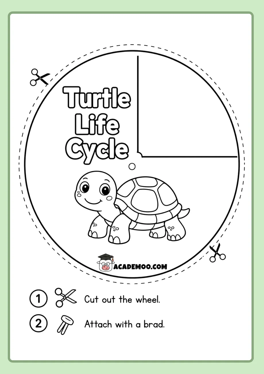 Turtle Life Cycle Wheel worksheet 1st grade science printable PDF · Printable turtle life cycle wheel worksheet for 1st Grade.