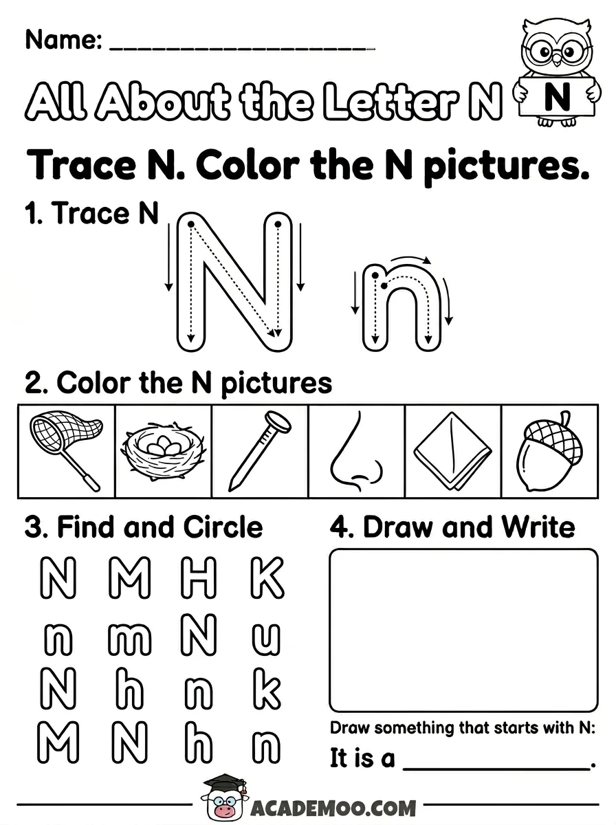 All About the Letter N worksheet kindergarten language arts printable PDF · Free printable All About the Letter N worksheet for Kindergarten.