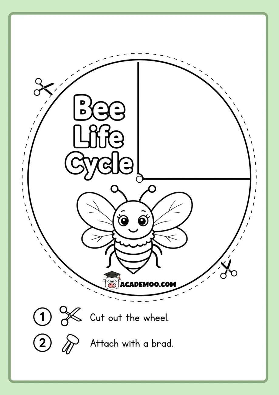 Bee Life Cycle Wheel worksheet 1st grade science printable PDF · Printable bee life cycle wheel worksheet for 1st Grade.