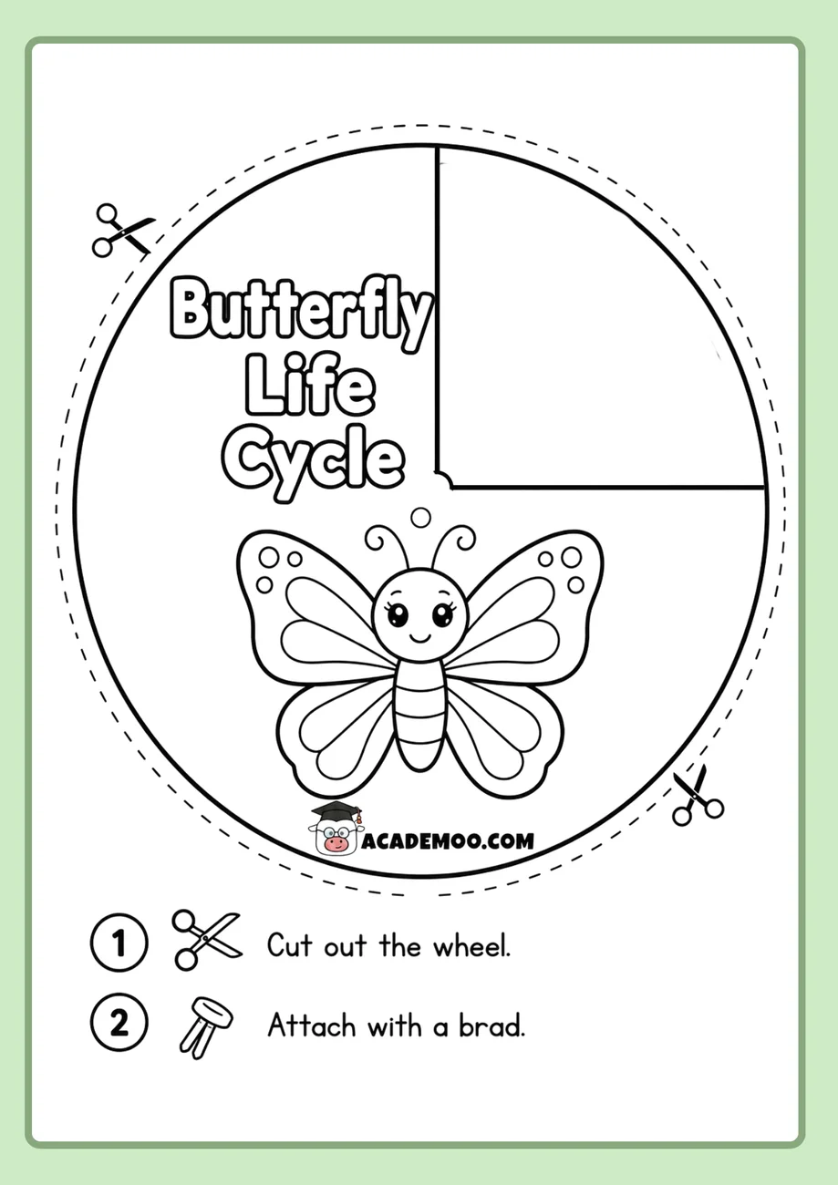 Butterfly Life Cycle Wheel worksheet 1st grade science printable PDF · Printable butterfly life cycle wheel worksheet for 1st Grade.