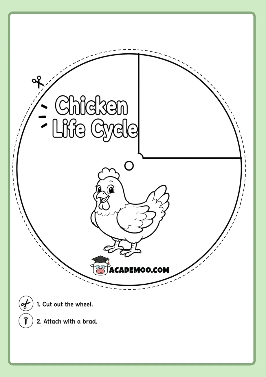 Chicken Life Cycle Wheel worksheet 1st grade science printable PDF · Printable chicken life cycle wheel worksheet for 1st Grade.