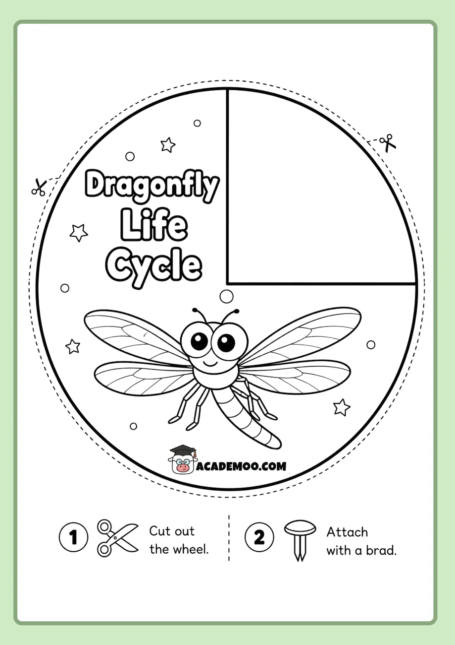 Dragonfly Life Cycle Wheel worksheet 1st grade science printable PDF · Printable dragonfly life cycle wheel worksheet for 1st Grade.