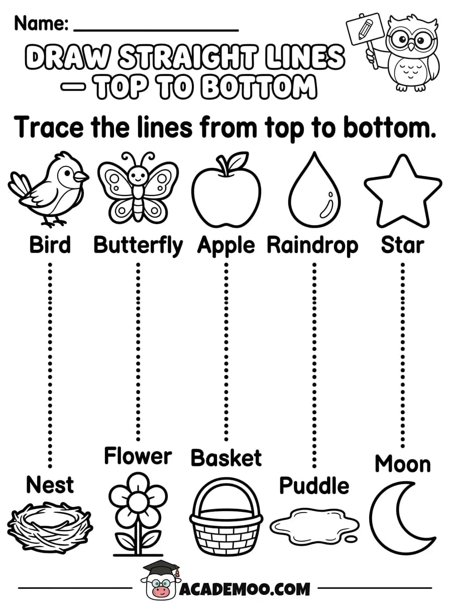 Draw Straight Lines Top to Bottom worksheet pre-k language arts printable PDF · Printable draw straight lines top to bottom worksheet for Pre-K.