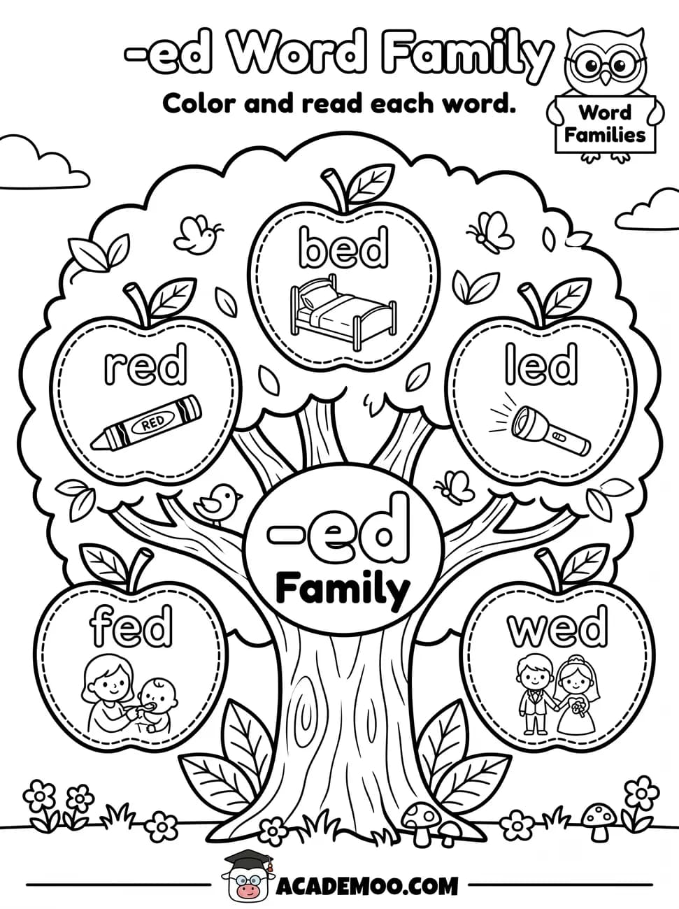 -ed Word Family worksheet kindergarten language arts printable PDF · Color and read each -ed word on the apple tree: bed, red, led, fed, wed.