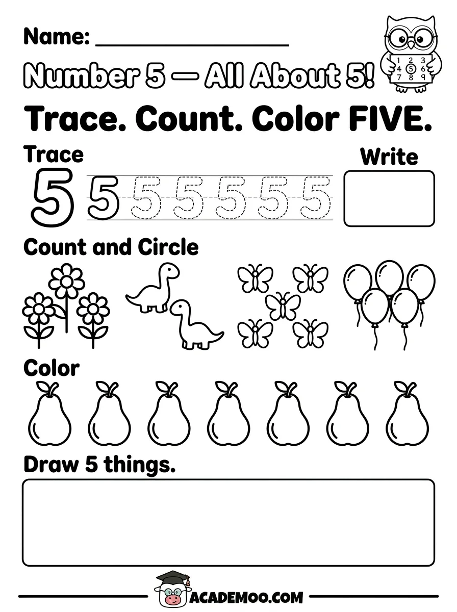 Number 5 All About 5 worksheet pre-k math printable PDF · Printable number 5 all about 5 worksheet for Pre-K.