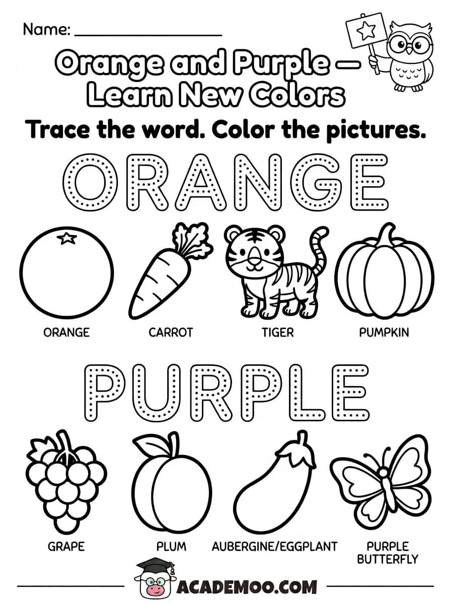 Orange and Purple Learn New Colors worksheet kindergarten math printable PDF · Printable orange and purple learn new colors worksheet for Kindergarten.