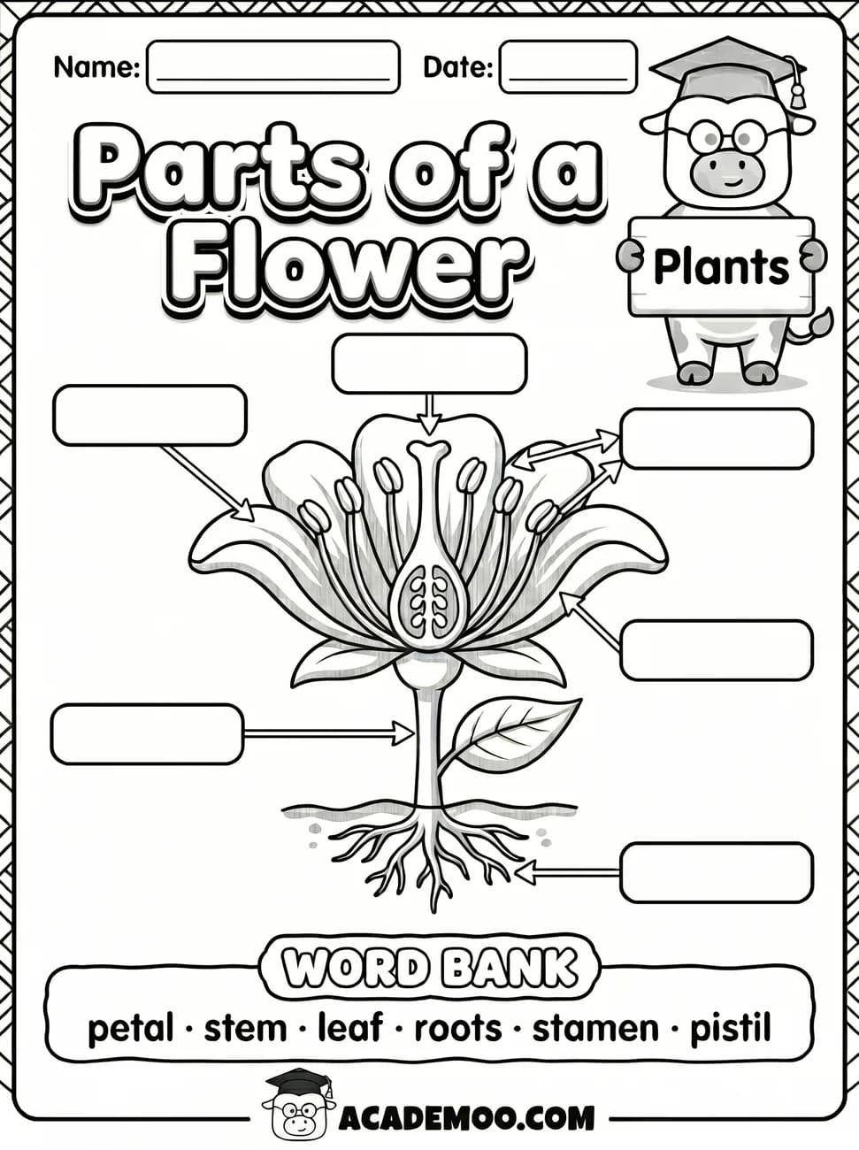 Parts of a Flower Labeling worksheet 1st grade science printable PDF · Free printable parts of a flower labeling worksheet for 1st Grade.