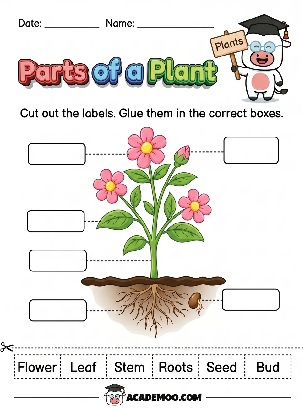 Parts of a Plant Cut and Paste worksheet kindergarten science printable PDF · Free printable parts of a plant cut and paste worksheet for Kindergarten.