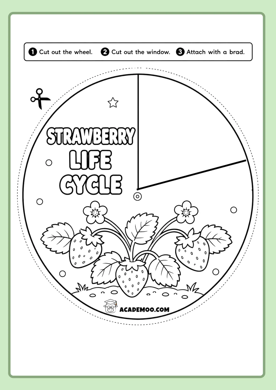 Strawberry Life Cycle Wheel worksheet 1st grade science printable PDF · Printable strawberry life cycle wheel worksheet for 1st Grade.
