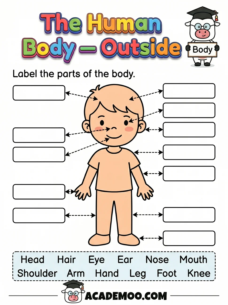 The Human Body Outside worksheet kindergarten science printable PDF · Printable the human body outside worksheet for Kindergarten.