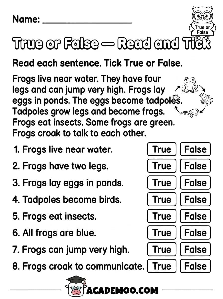 True or False Read and Tick worksheet 1st grade language arts printable PDF · Printable true or false read and tick worksheet for 1st Grade.