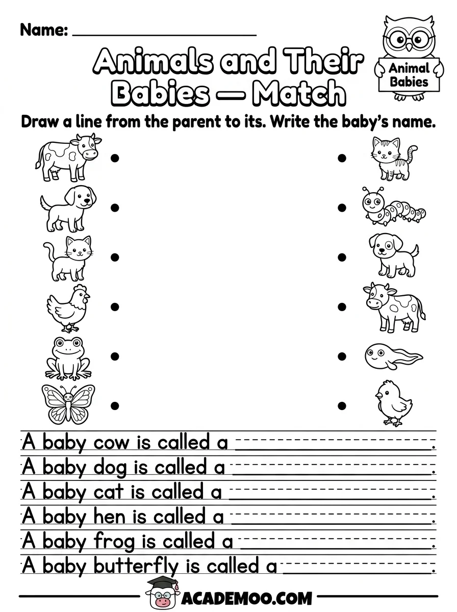 Animals and Their Babies worksheet — kindergarten science printable PDF · Printable animals and their babies worksheet for Kindergarten.