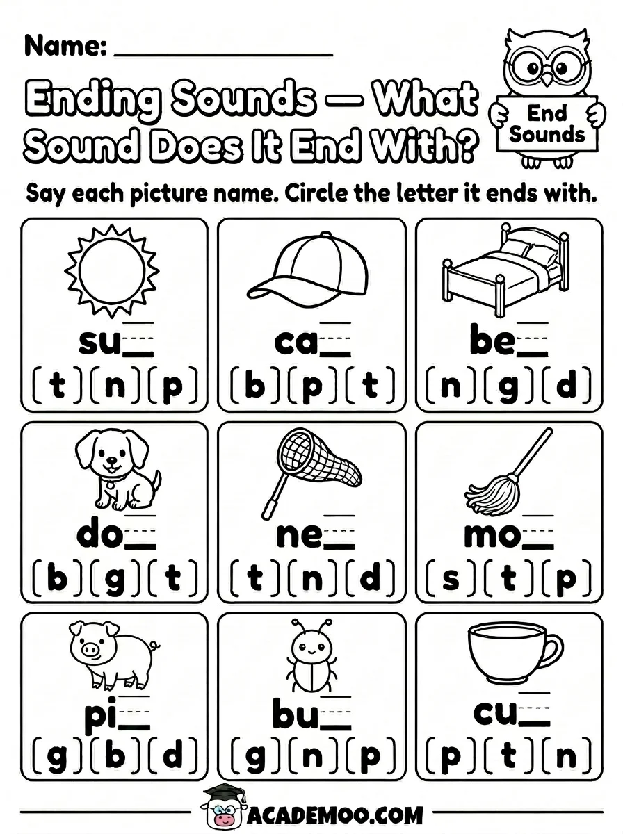 Ending Sounds What Sound Does It End With worksheet — kindergarten language arts printable PDF · Printable ending sounds what sound does it end with worksheet for Kindergarten.