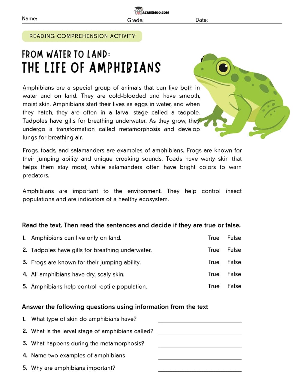 The Life of Amphibians worksheet — 4th grade language arts printable PDF · Printable The Life of Amphibians reading comprehension worksheet for 4th Grade.