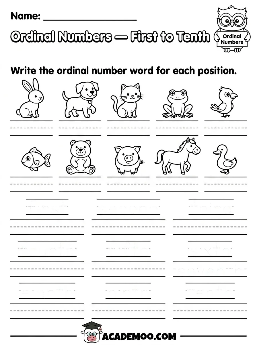 Ordinal Numbers First to Tenth worksheet — kindergarten math printable PDF · Printable ordinal numbers first to tenth worksheet for Kindergarten.